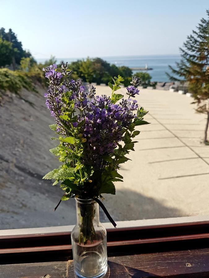 Family Hotel Venera Kavarna Kültér fotó